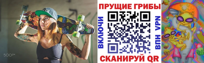 Псилоцибиновые грибы мицелий  цены   Боровичи 