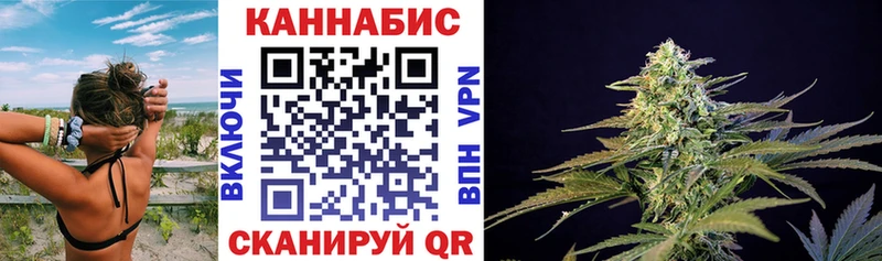 продажа наркотиков Боровичи Шишки марихуана SATIVA & INDICA